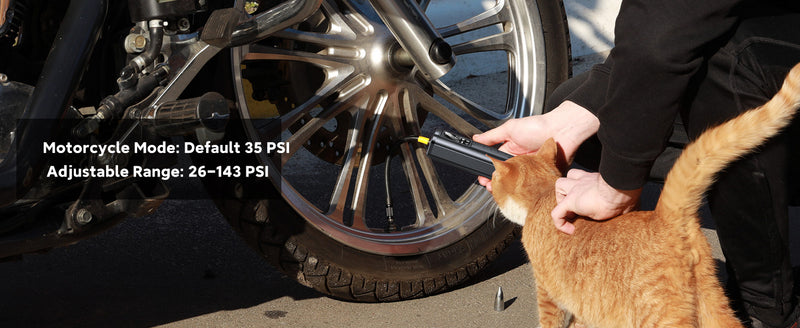 Woowind AP2-P air pump for motorcycle with a cat